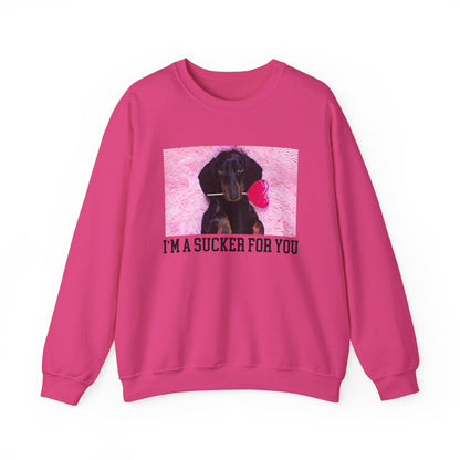 I'm A Sucker For You Cute Pup Sweatshirt