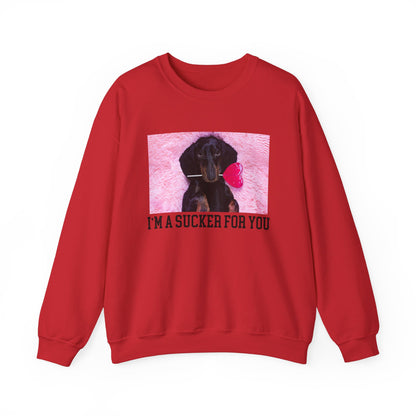 I'm A Sucker For You Cute Pup Sweatshirt